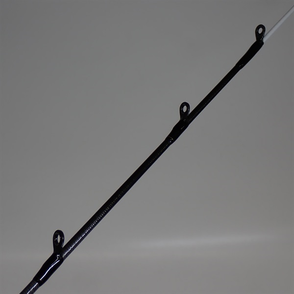 ２１極鋭タチウオテンヤＳＰ７３－１９０ＡＧＳ